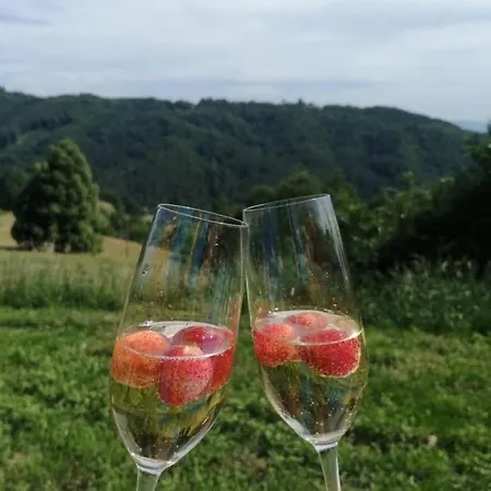 Rustic Retreat With Pool Pocitnice Na Kozolcu Sevnica