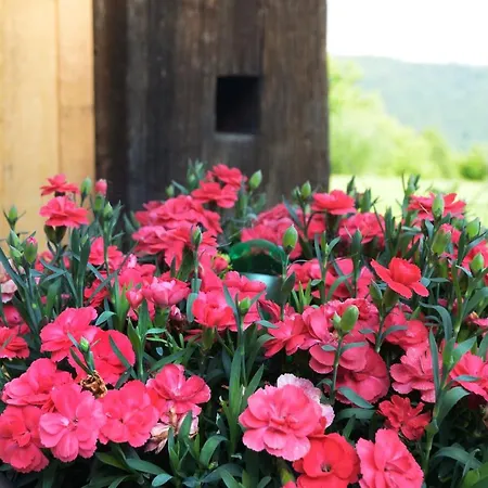 Rustic Retreat With Pool Pocitnice Na Kozolcu * Sevnica
